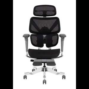 صندلی ارگونومیک مدل امرالد