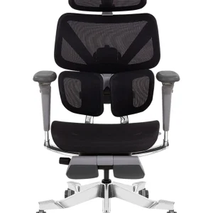 صندلی ارگونومیک